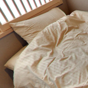 Googleストリートビュー公式認定代理店 株式会社フレックス