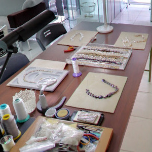 Googleストリートビュー公式認定代理店 株式会社フレックス