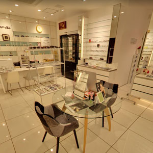 Googleストリートビュー公式認定代理店 株式会社フレックス