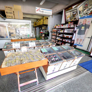 Googleストリートビュー公式認定代理店 株式会社フレックス