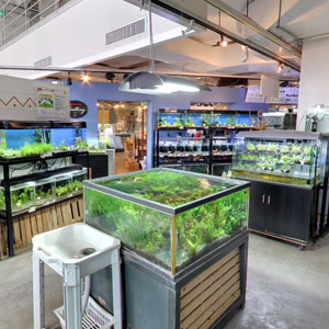 Googleストリートビュー公式認定代理店 株式会社フレックス