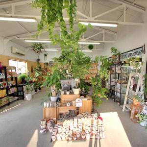 Googleストリートビュー公式認定代理店 株式会社フレックス