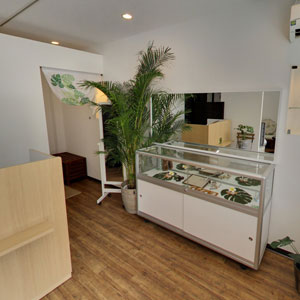 Googleストリートビュー公式認定代理店 株式会社フレックス