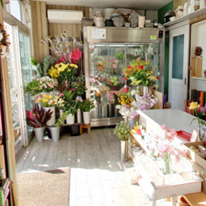 Googleストリートビュー公式認定代理店 株式会社フレックス