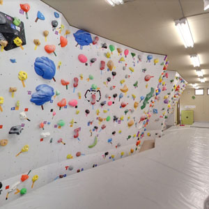 Googleストリートビュー公式認定代理店 株式会社フレックス